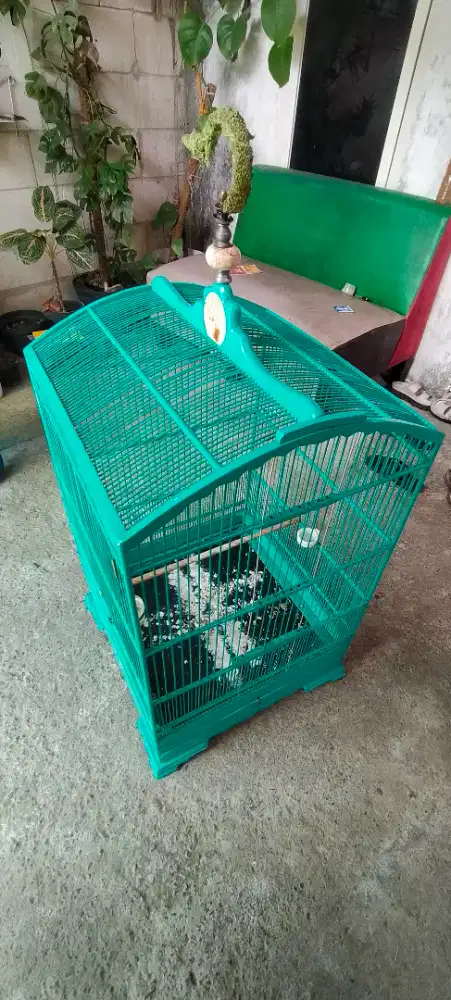 Sangkar kosan 50x50