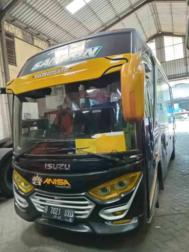 Isuzu NQR 71L Long medium 2019 #bus sedang Long chasis