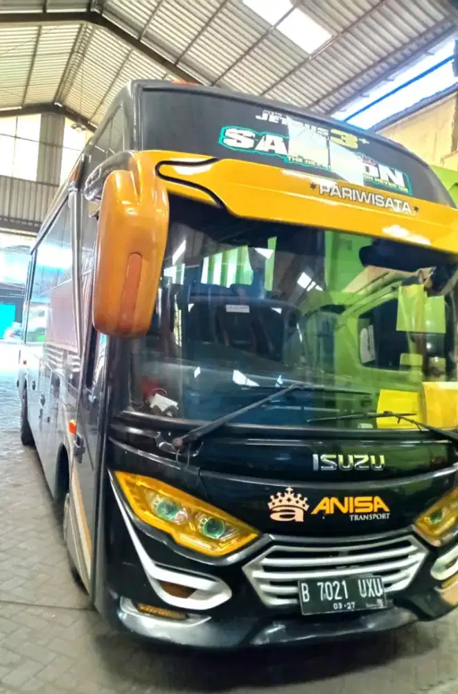 Isuzu NQR 71L Long medium 2019 #bus sedang Long chasis