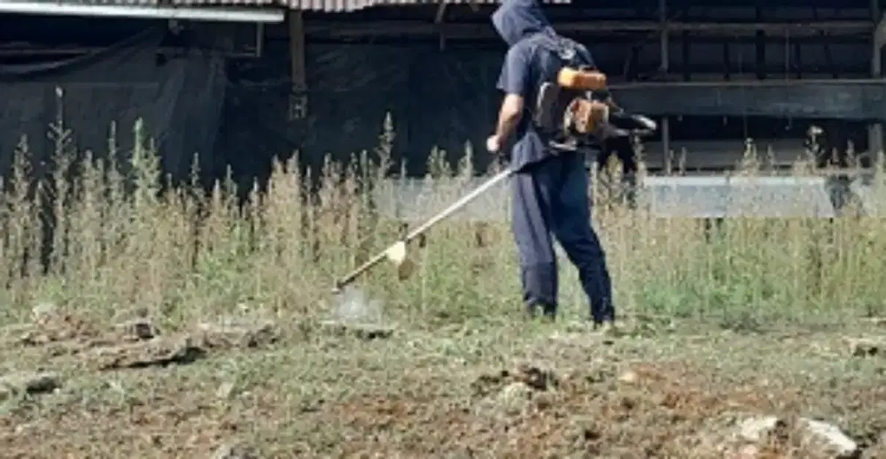 JASA POTONG RUMPUT MURAH BOGOR