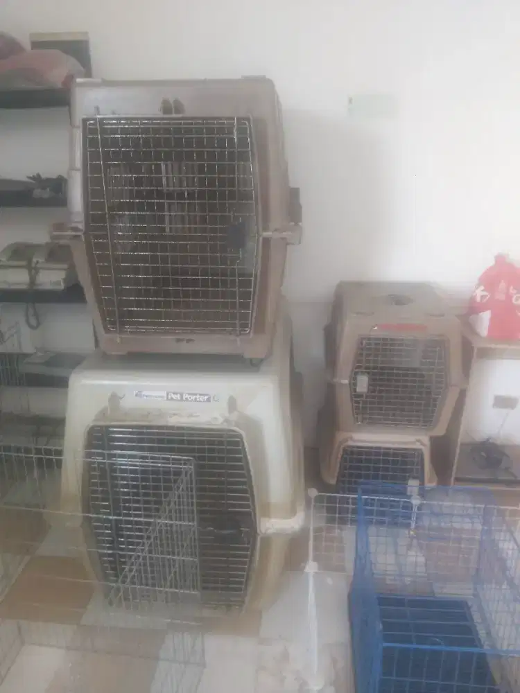 jual kenell box lokal dan import