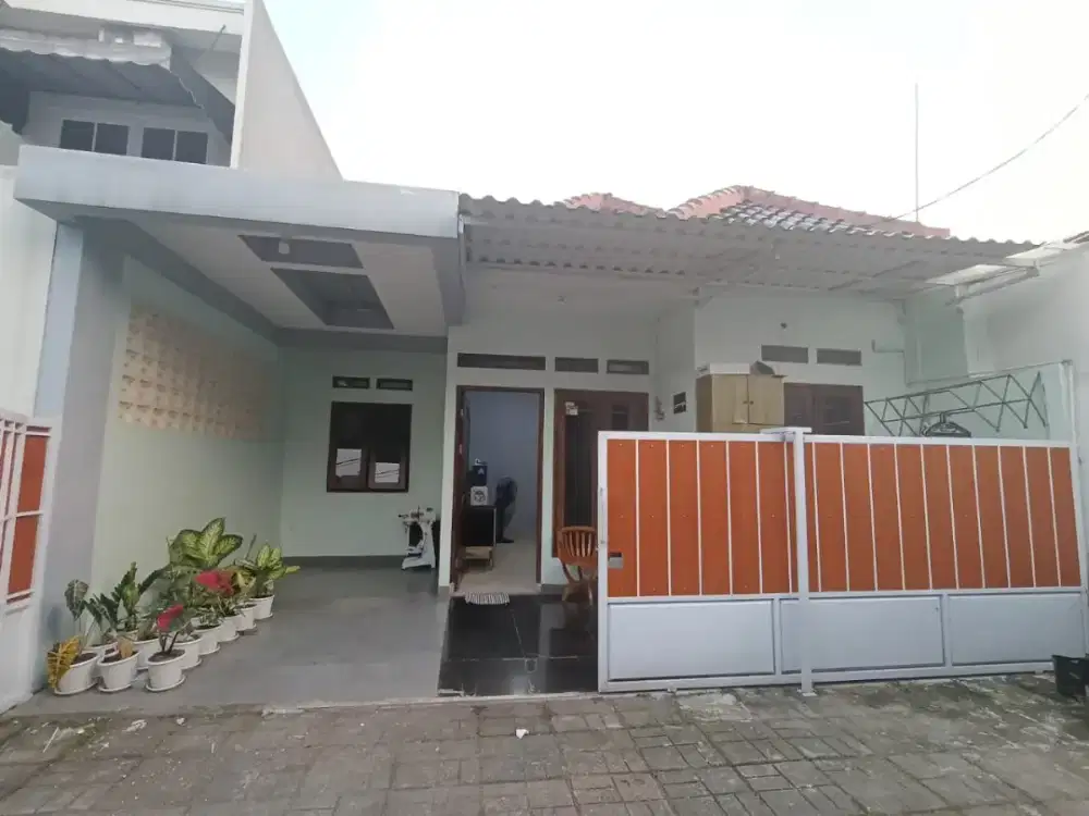 Disewakan rumah 1 lantai di daerah Cibinong