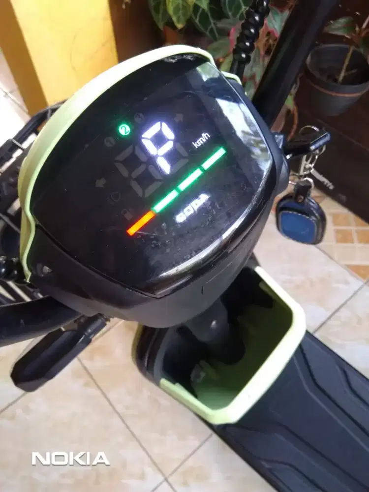 Selis Goda Warna Hijau