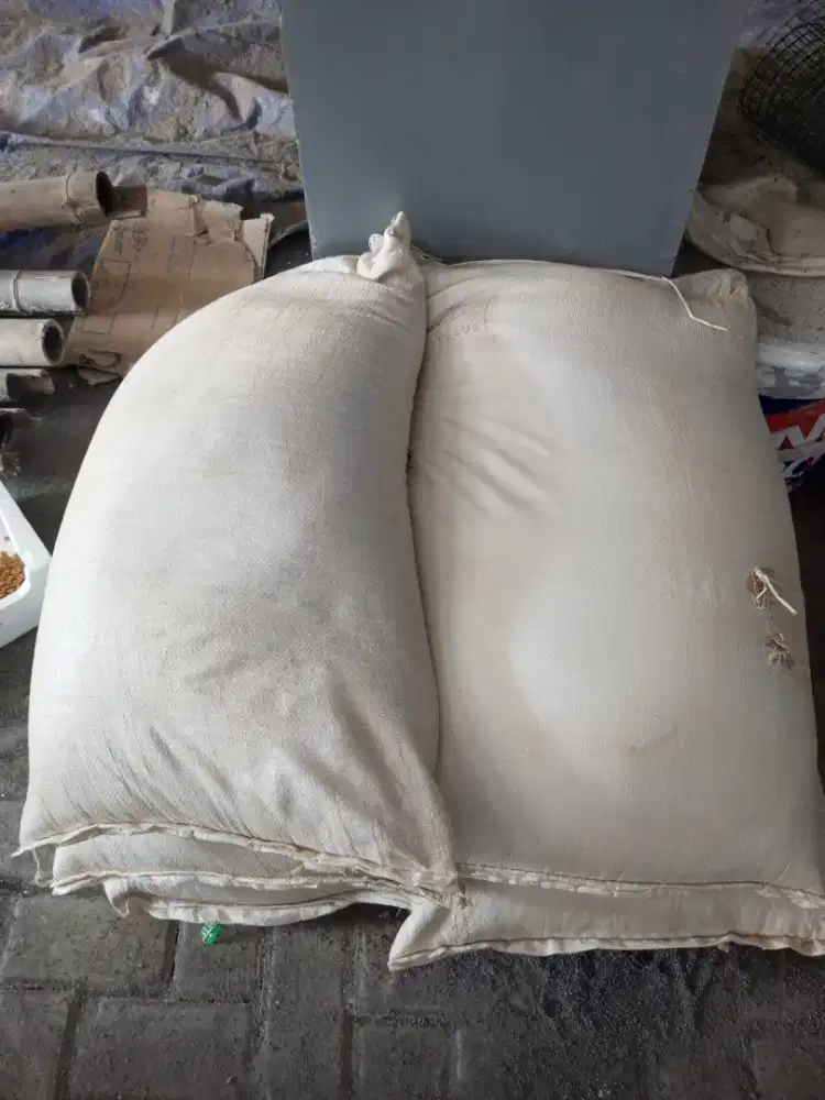 Pasir Pantai Silika y