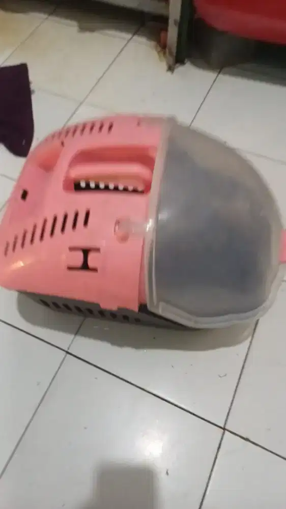 Kandang box hewan kucing anjing hewan lainnya bagus