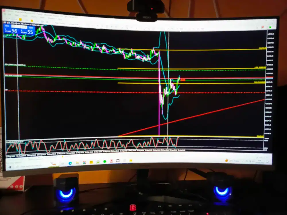 EA MT5  & MT4  forex