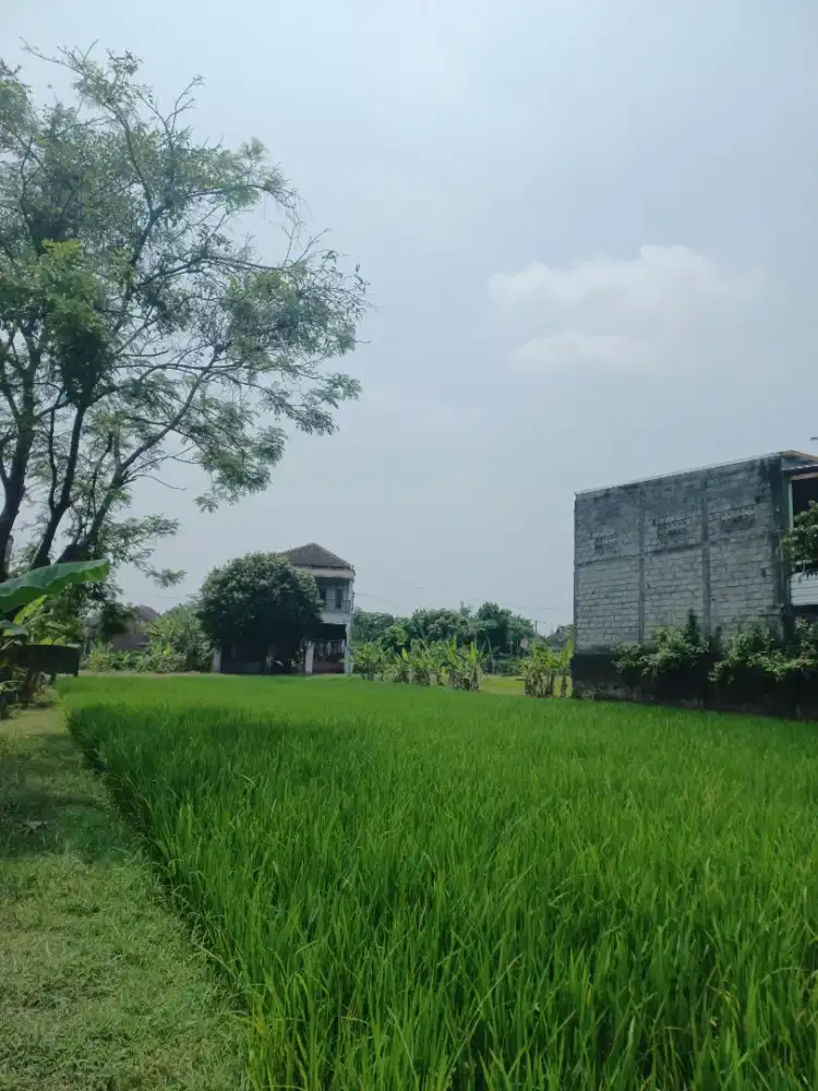 Tanah Dijual Utara Pasar Mangu, Nogosari, Boyolali