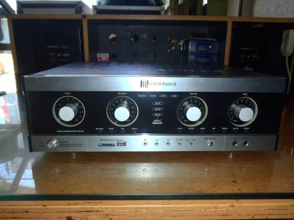 Digital Karaoke Mixing Amplifier, ampli karaoke merk Martin Roland