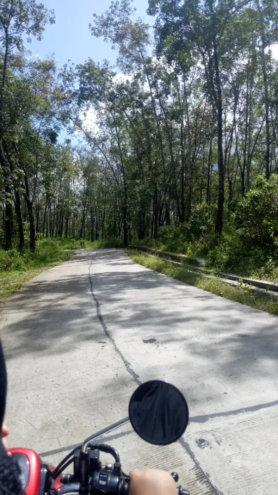 Cari pekerjaan yang halal