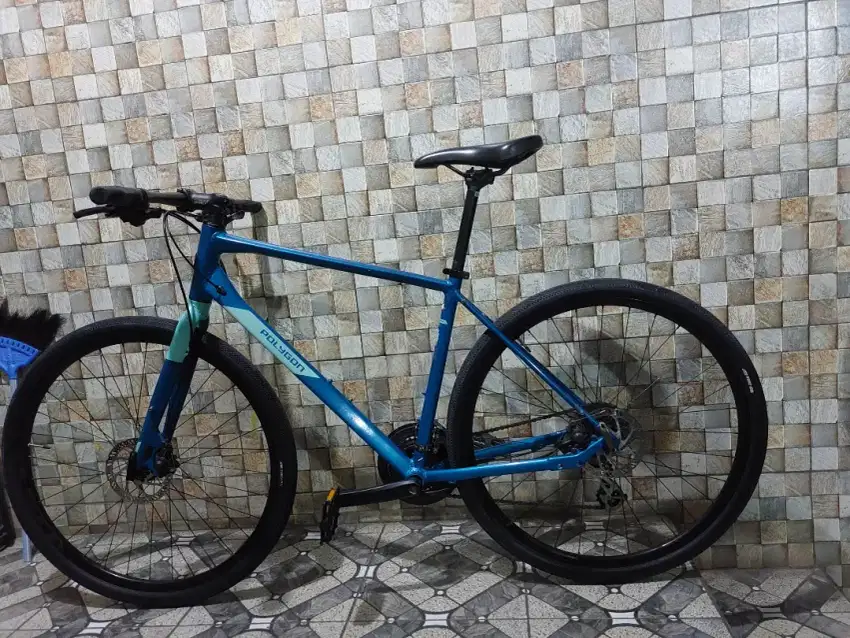 Sepeda polygon path 2 (size L )