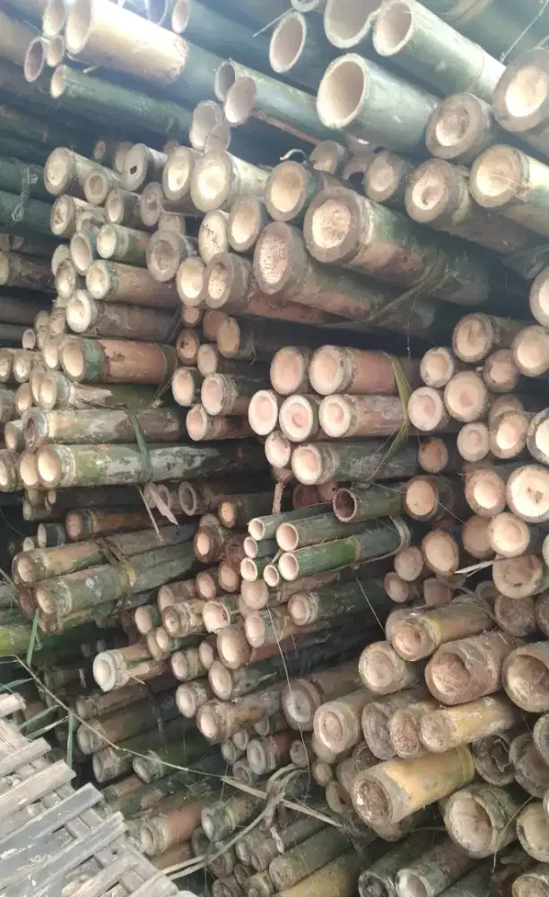 Bambu dan kayu mandiri jaya02
