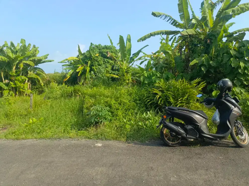 Tanah lingkungan Villa Tulikup Gianyar Bali