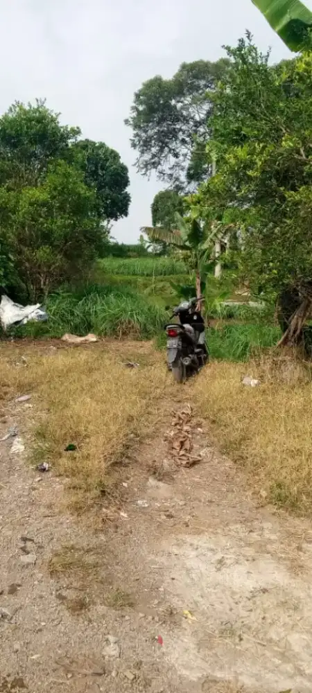 Jual tanah strategis dilembang