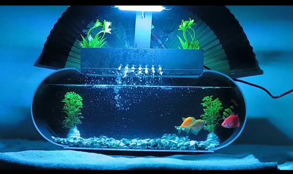 Aquarium 1 set lengkap