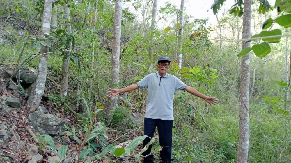 Tanah murah di Kulonprogo