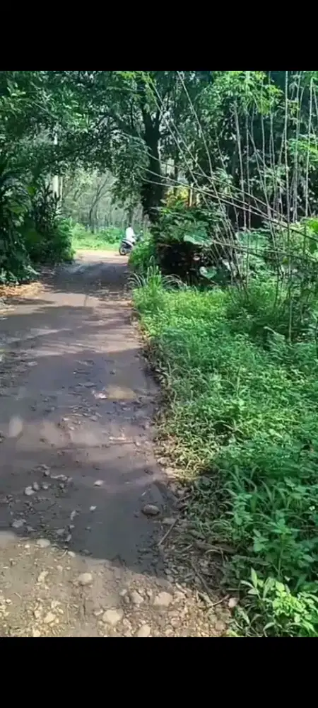 Di jual lhan tanah darat lt 300 mtr cocok untuk rumah tinggal