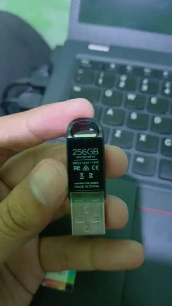 Flashdisk SANDISK 256GB