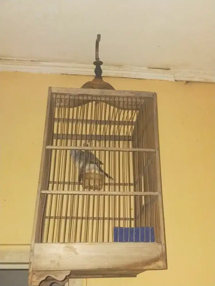 Kandang Kayu Fullset