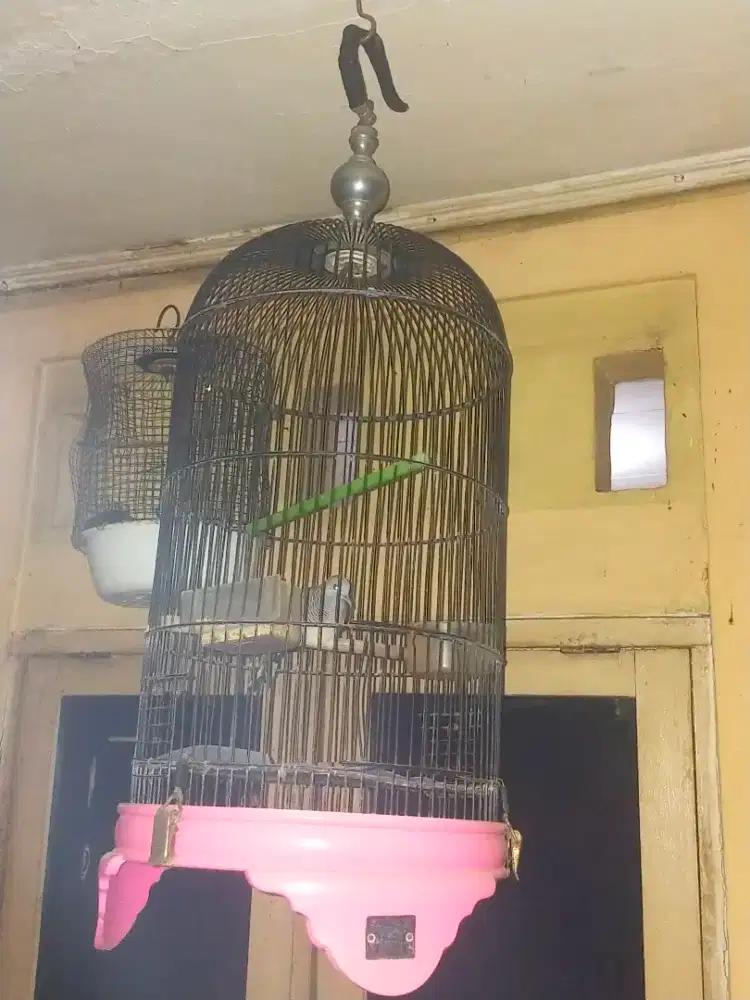 Kandang Kapsul Besi Fullset