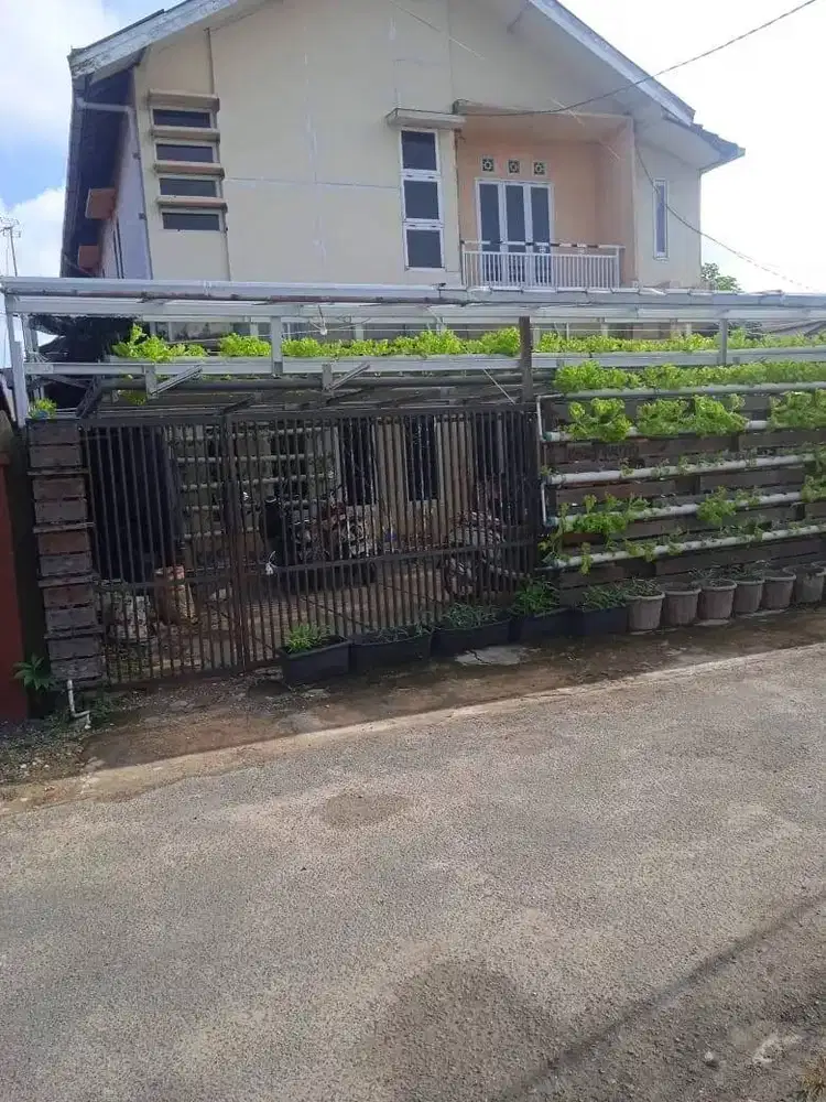 kost putri murah di kayutangi