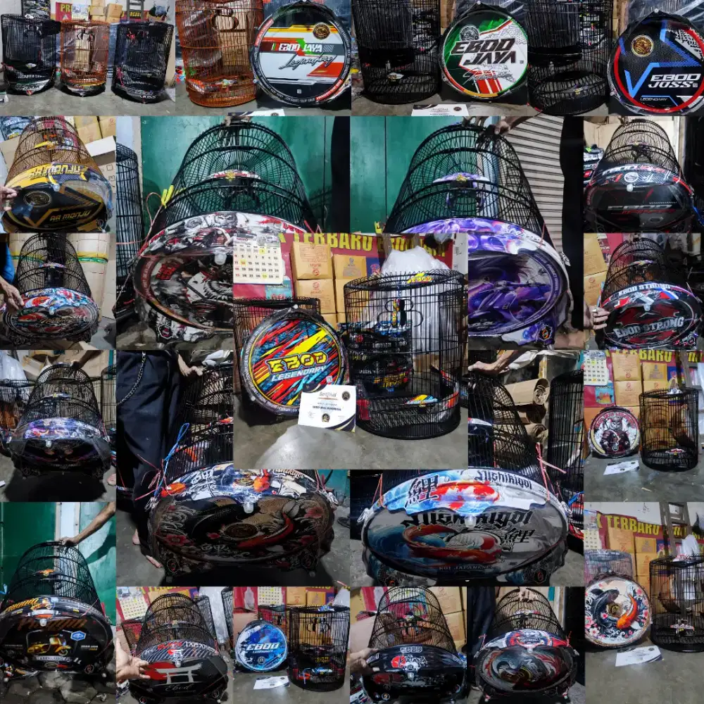 Sangkar Murai Pvc Decal EBOD JAYA Legendary Terbaru Bersertifikat