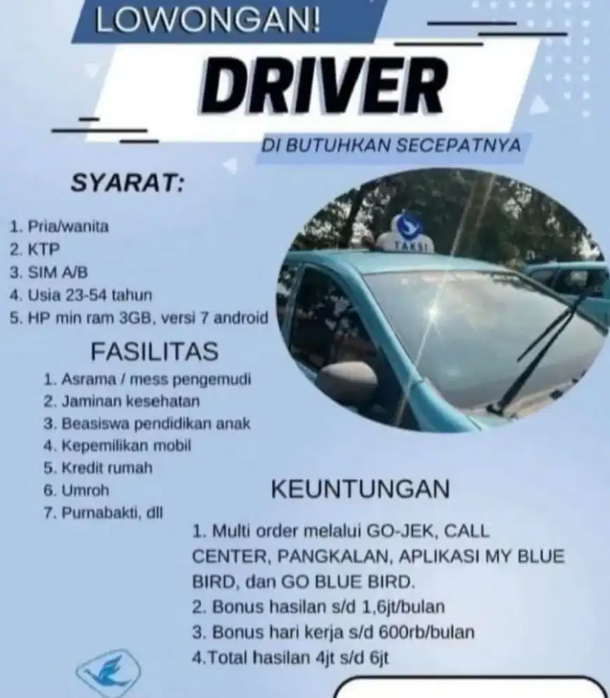 Pengemudi profesional