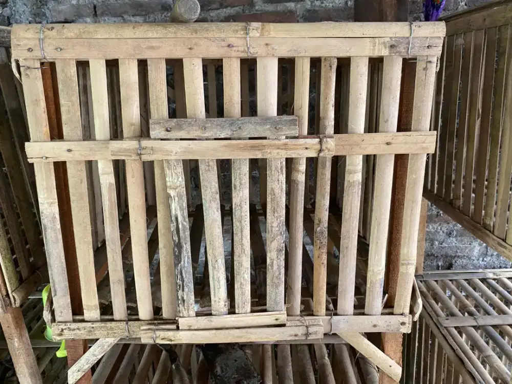 Kandang ayam dan burung