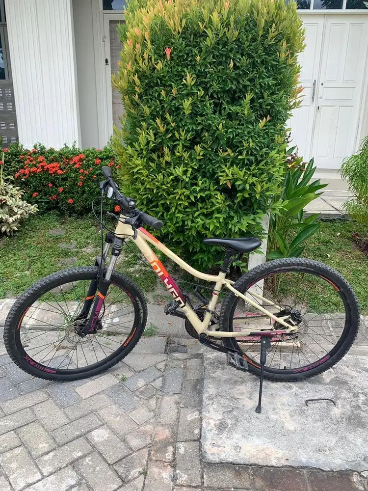 Sepeda Mountain bike