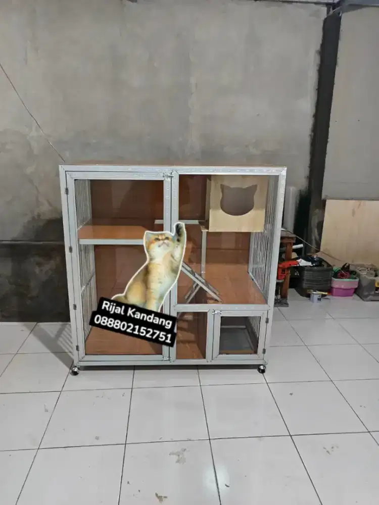 Kandang kucing holo galvanis