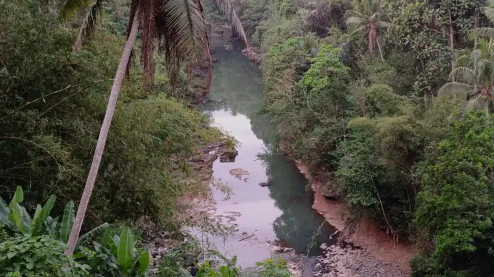 Tanah Eksotis Pemandangan Sungai Investasi Alam Dengan Potensi Tinggi