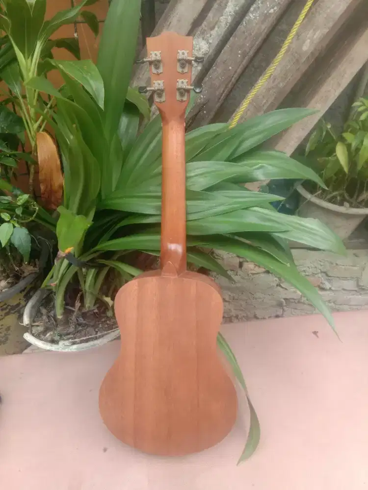 gitar ukulele concerto mandalika
