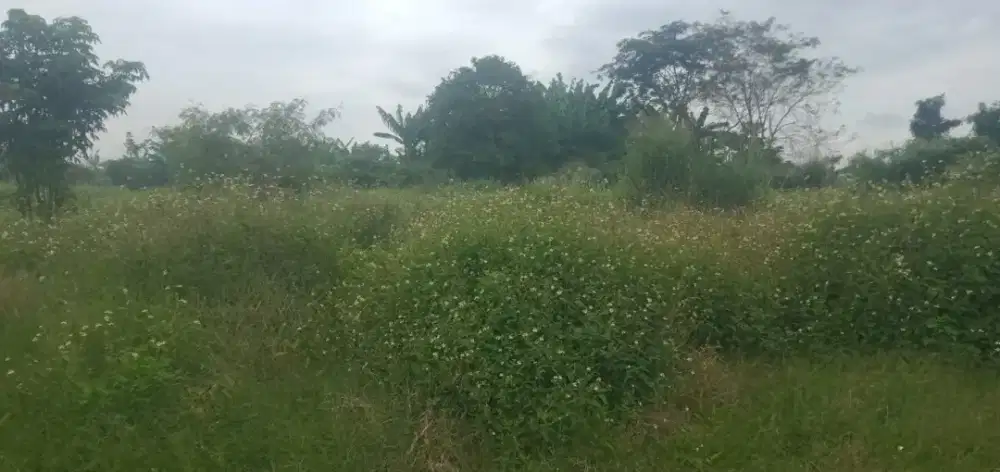 Dijual Tanah Kavling Legok Tangerang Cocok Perumahan