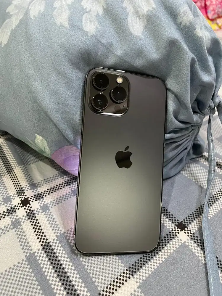 13 pro max 256gb original