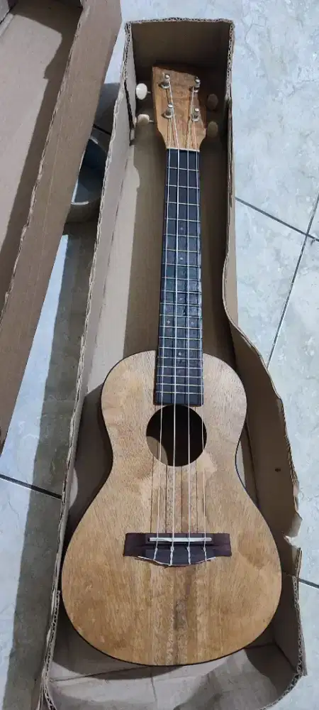Ukulele Conserto