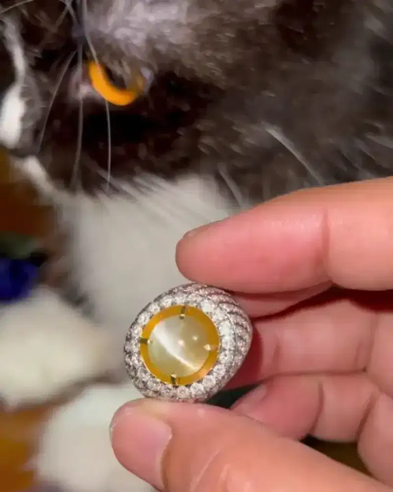 Cincin Permata Chrysoberyl Cats Eye Ring Emas Berlian