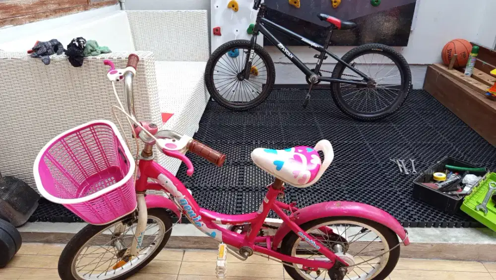 Dijual Sepeda Anak Cewe