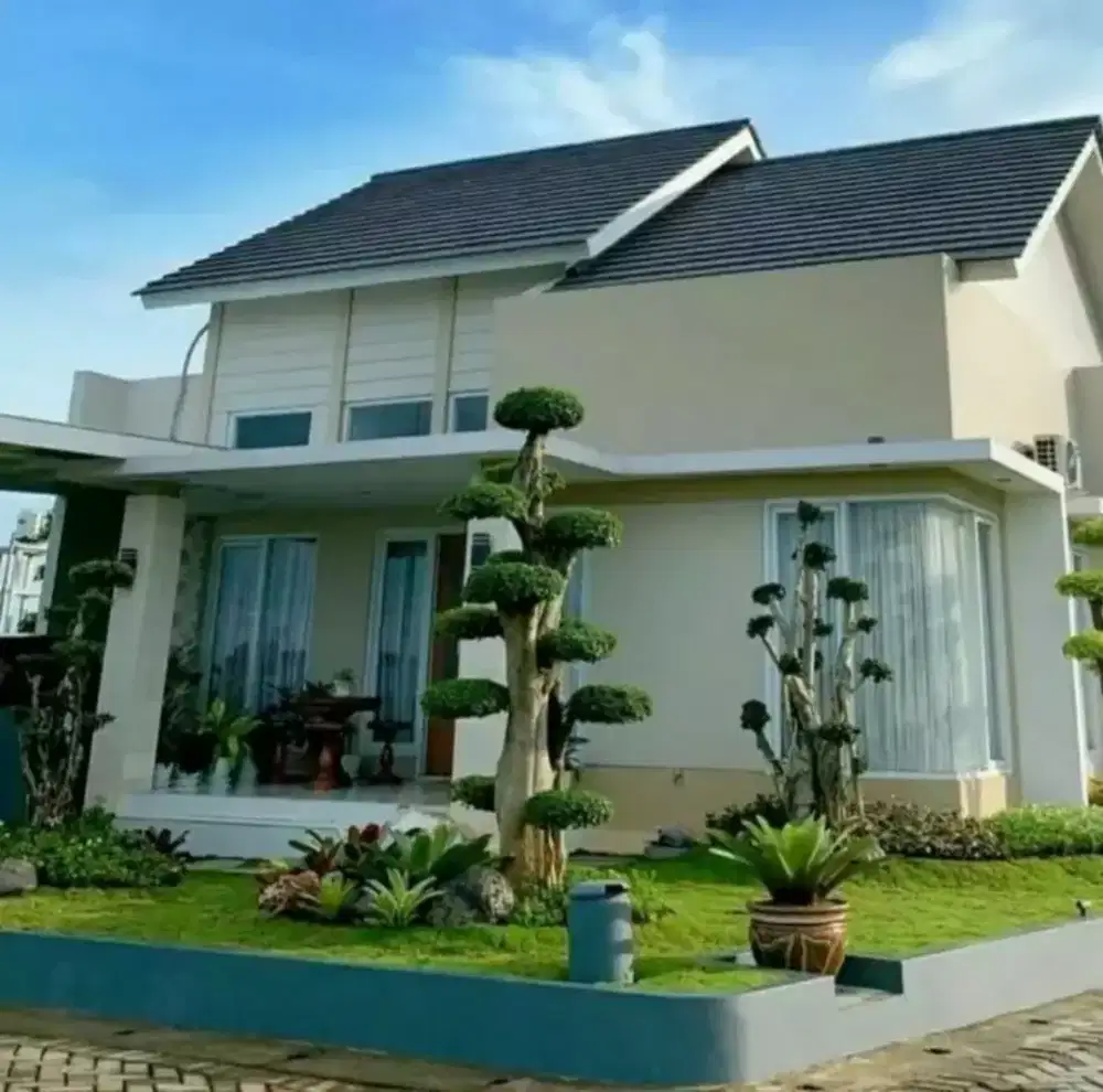 taman rumputt dan pohon bonsai