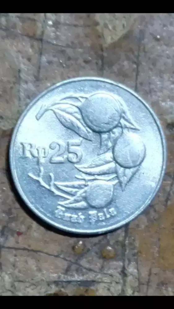 UANG KOIN RP. 25 TAHUN 1996