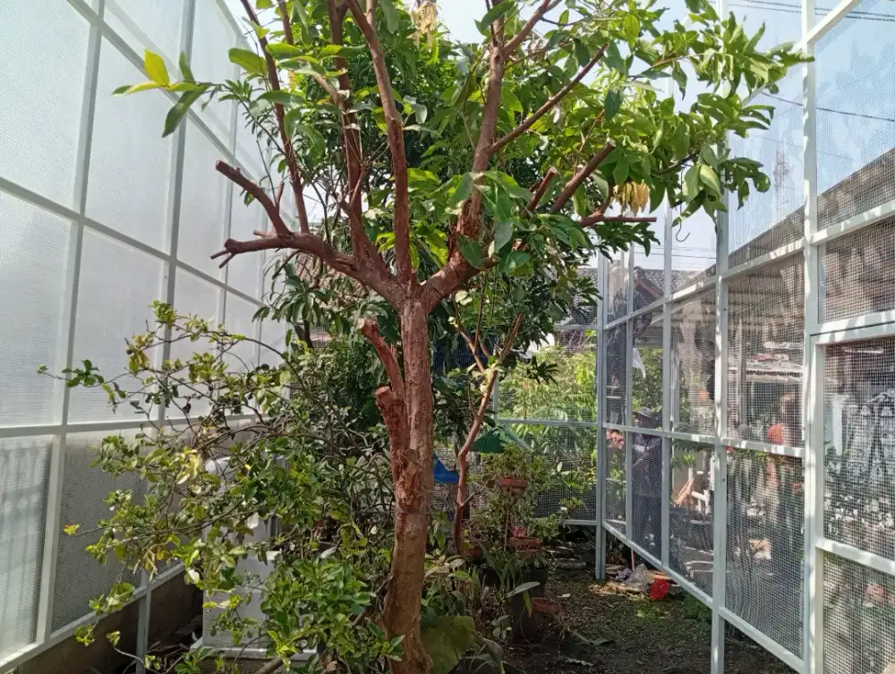 Aviary / Aviari / Kandang Ukuran Besar