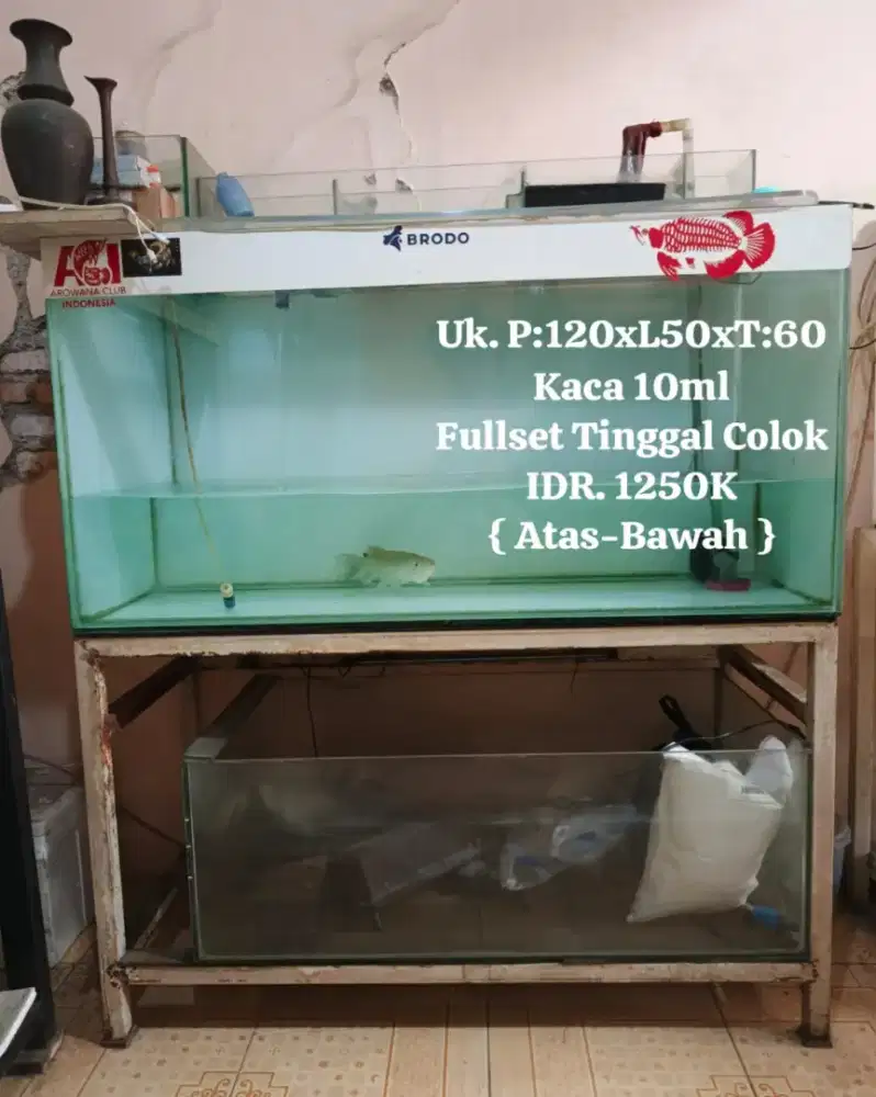 Jual borongan/satuan aquarium fullset tinggal colok