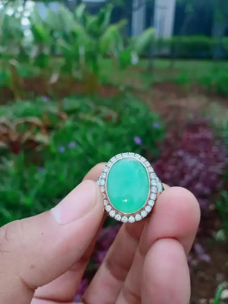 BACAN PALAMEA FIDO KRISTAL HQ