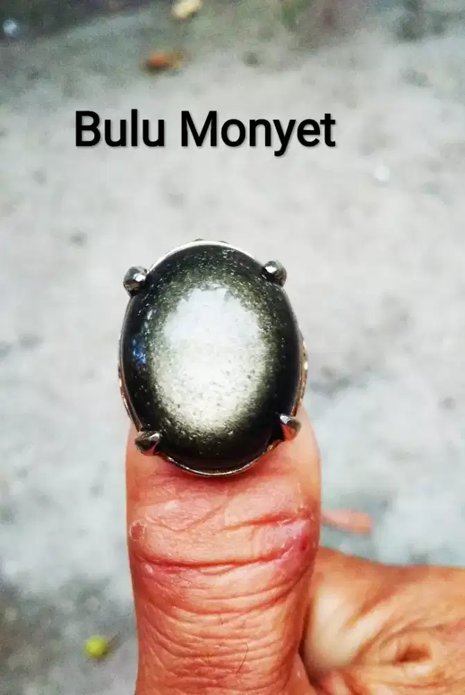 Batu Bulu Monyet Langka