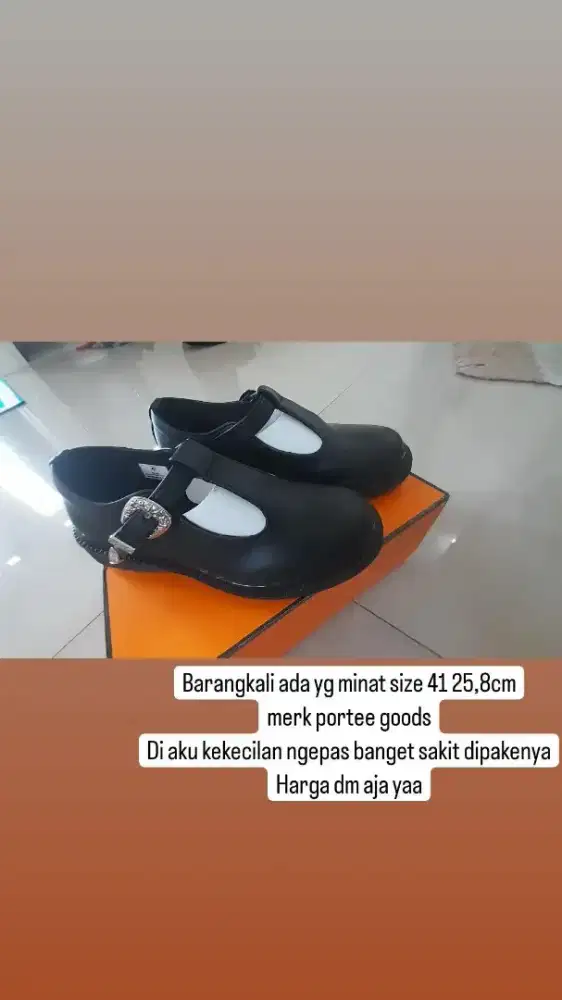Sepatu porte goods