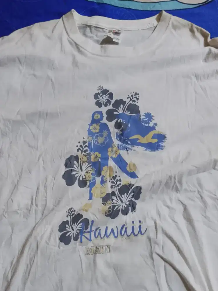 Vintage Hawaii Fruit of The Loom Tee