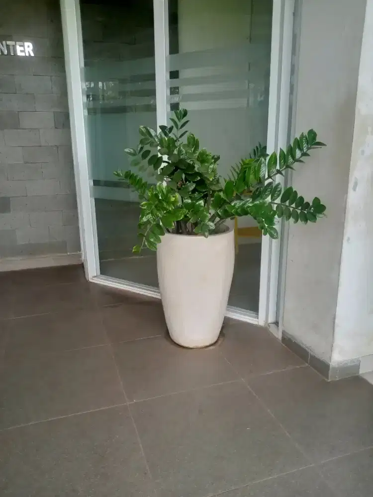 Pot Terrazzo finnising glossy