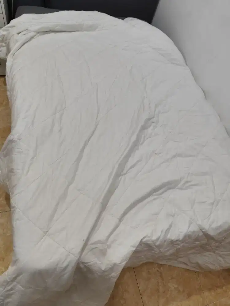 Bedcover polos katun