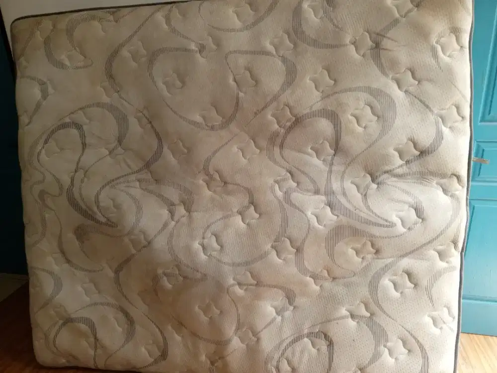 Jasa cuci kasur springbed sofa karpet jok mobil dll