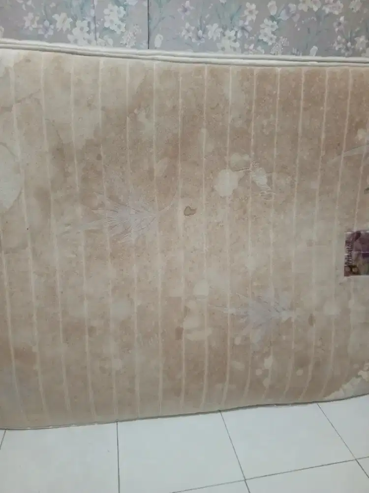 Jasa cuci kasur springbed sofa karpet jok mobil dll