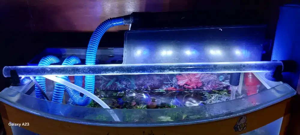 Jual aquarium set beserta kelengkapan nya