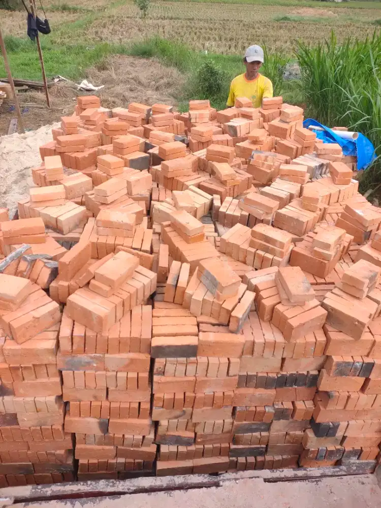 Batu bata merah pres